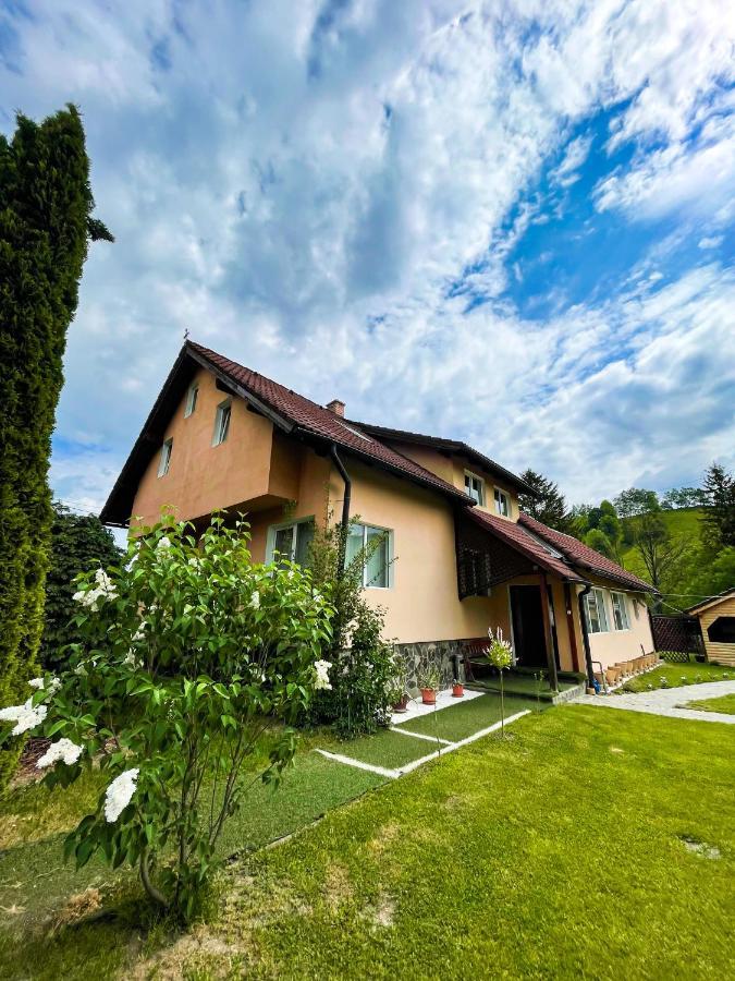 Vila Lilica Bran  Exterior photo